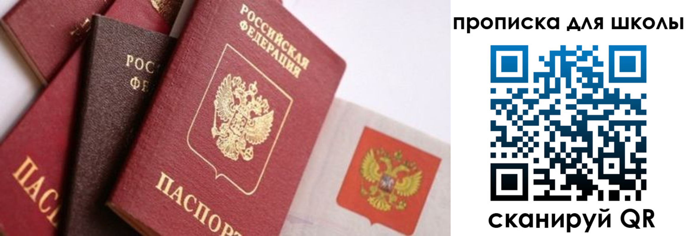 прописка поиск в Канаше